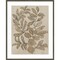 Leaves Sketches I by Asia Jensen Wood Framed Wall Art Print 33 in. W x 41 in. H